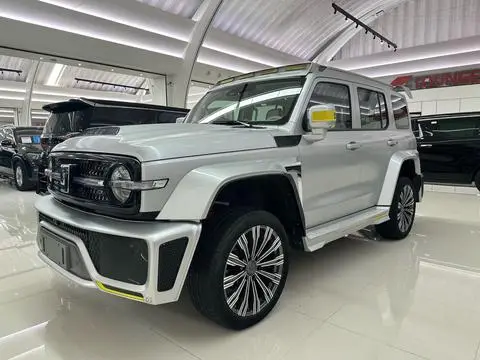 TANK 赛博坦克300 2021