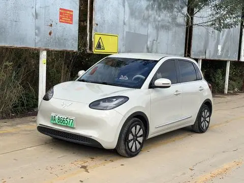 Wuling Bingo 2023