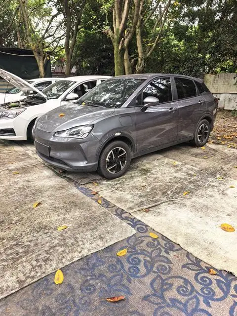 NETA V 2021