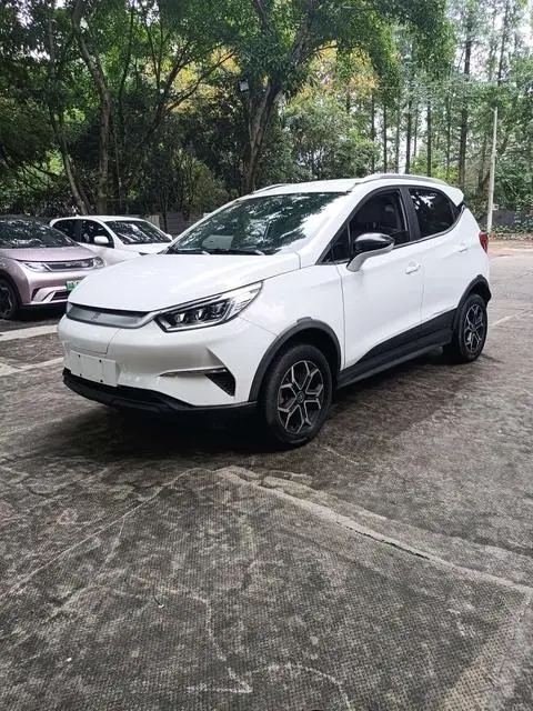 BYD 元Pro 2021