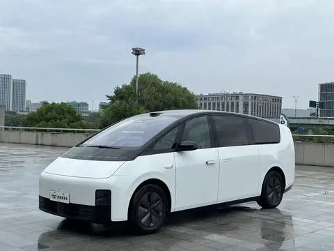 Li MEGA 2025