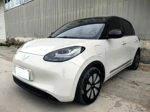 Wuling Bingo 2023