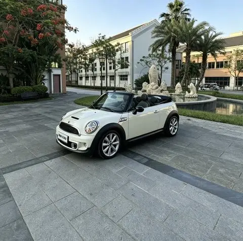 MINI MINI 2012