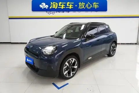 MINI MINI ACEMAN 2024