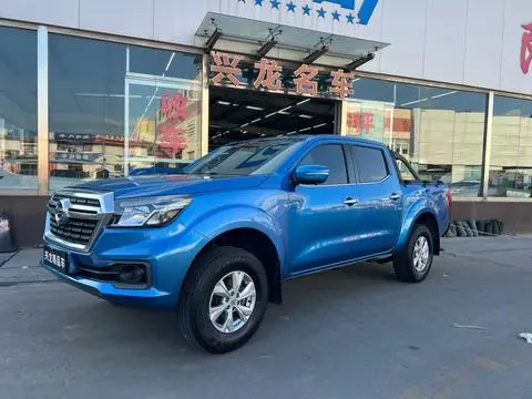 Dongfeng 锐骐 2019