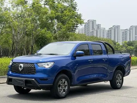 Great Wall 炮 2021