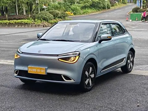 Dongfeng 纳米01 2024