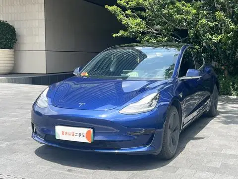Tesla Model 3 2019