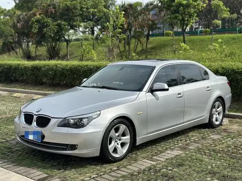 BMW 5 Series 2010