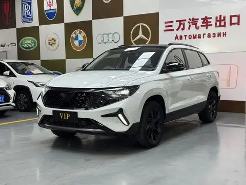 Jetta VS7 2022