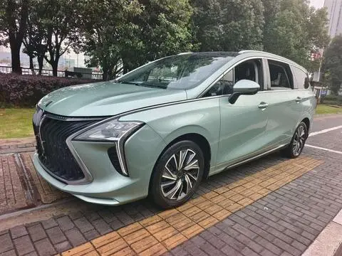 Forthing 风行游艇 2022