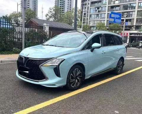 Forthing 风行游艇 2022