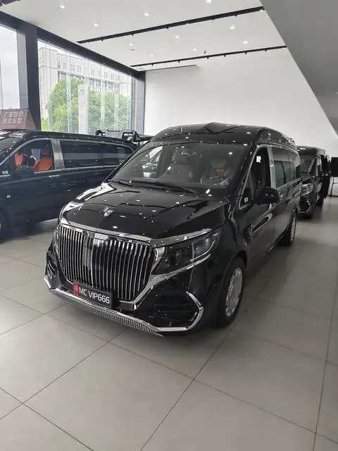 Mercedes-Benz 威霆 2024