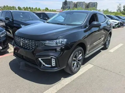 Wey VV5 2020