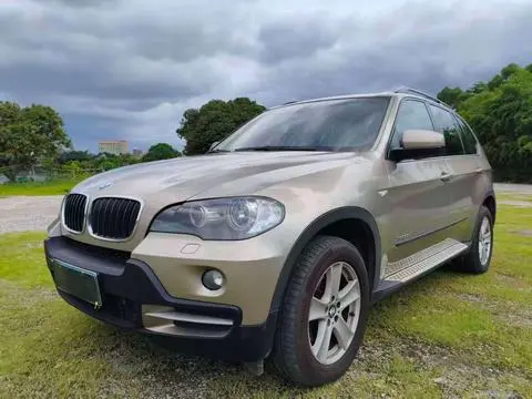 BMW X5 2010
