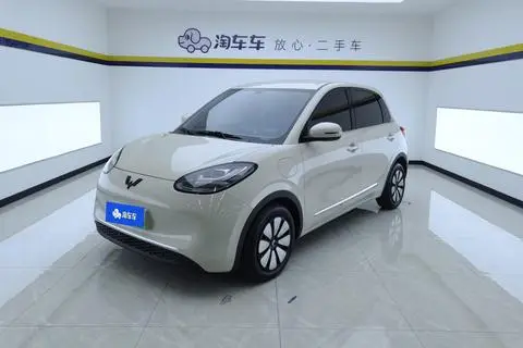 Wuling Bingo 2024