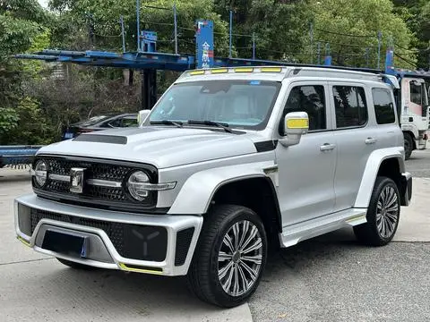 TANK 赛博坦克300 2021
