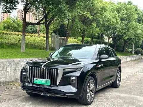 Hongqi E-HS9 2020