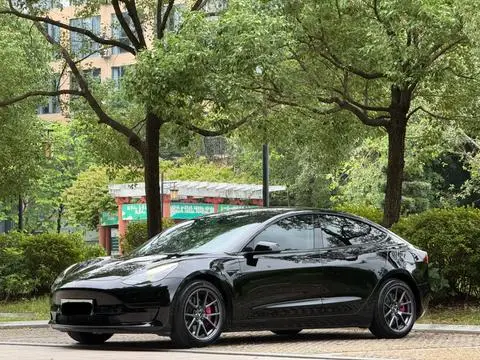 Tesla Model 3 2021