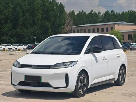 BYD D1 2021