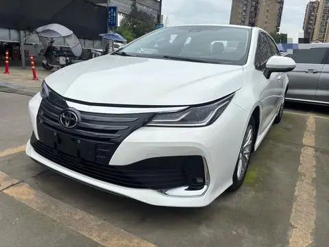 Toyota 亚洲狮 2022