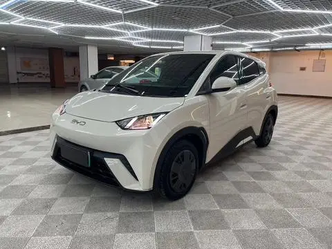 BYD Seagull 2024
