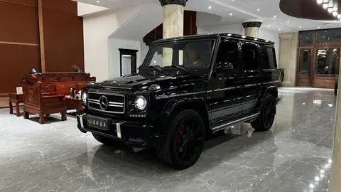 Mercedes-Benz G-Class 2010