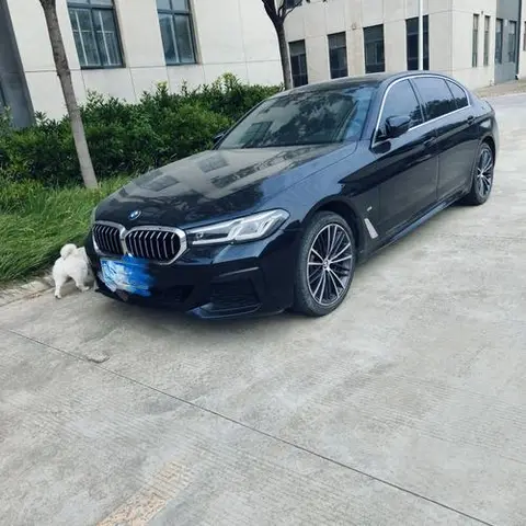 BMW 5 Series 2022