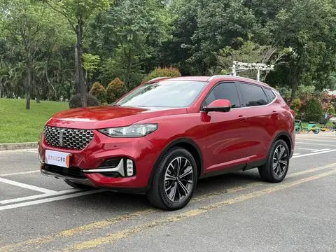 Wey VV6 2021