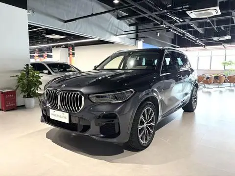 BMW X5 2022