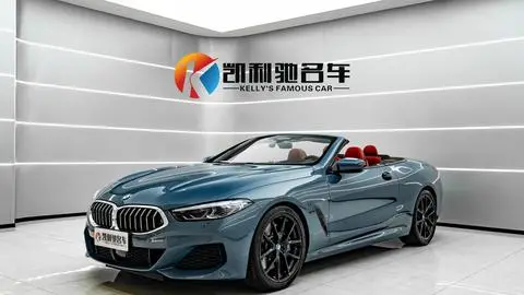 BMW 8 Series 2019
