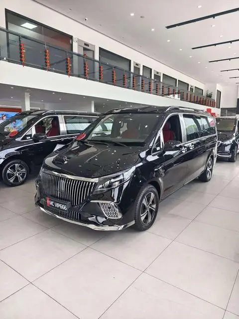 Mercedes-Benz 威霆 2024