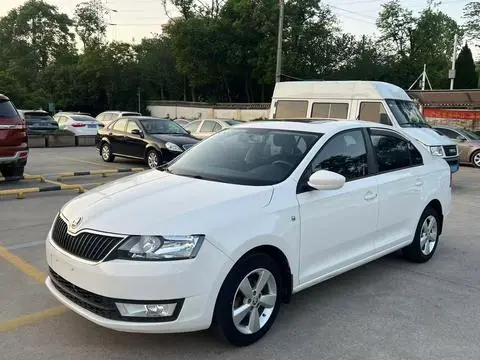 Skoda 昕锐 2013
