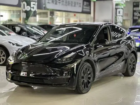 Tesla Model Y 2021