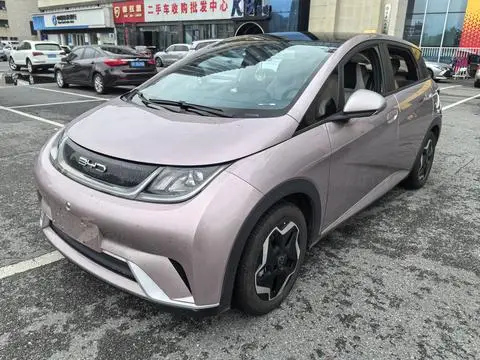 BYD Dolphin 2021