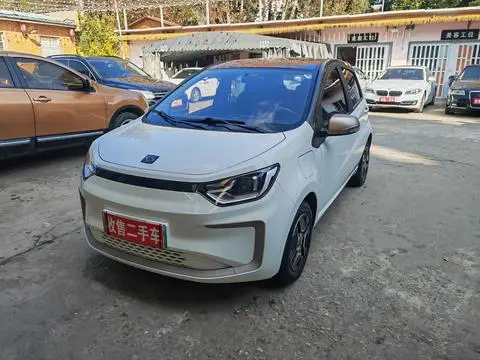 JAC (Sihao) 花仙子 2021