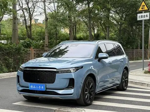 Li ONE 2021