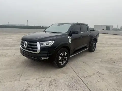 Great Wall 炮 2021