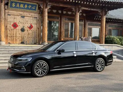 Volkswagen 辉昂 2021