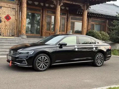 Volkswagen 辉昂 2021