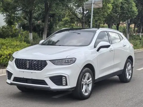 Wey VV5 2020