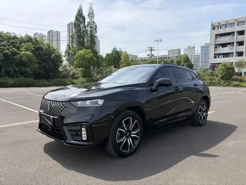 Wey VV7 PHEV 2020 — фото 1