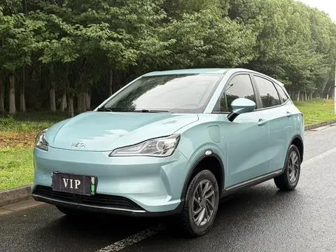 NETA V 2022