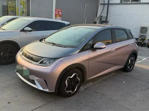 BYD Dolphin 2021