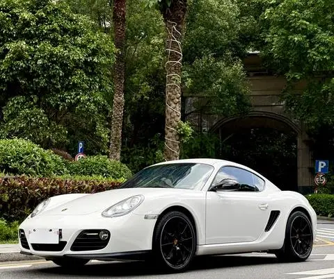 Porsche Cayman 2009