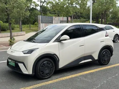BYD Seagull 2024