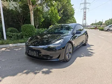 Tesla Model 3 2021