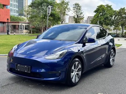 Tesla Model Y 2021 — фото 1