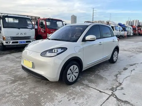 Wuling Bingo 2025