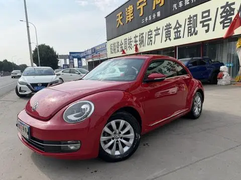 Volkswagen 甲壳虫 2014